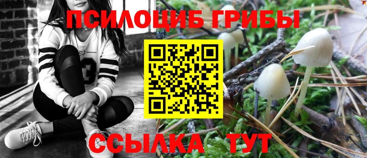 Галлюциногенные грибы прущие грибы Мончегорск